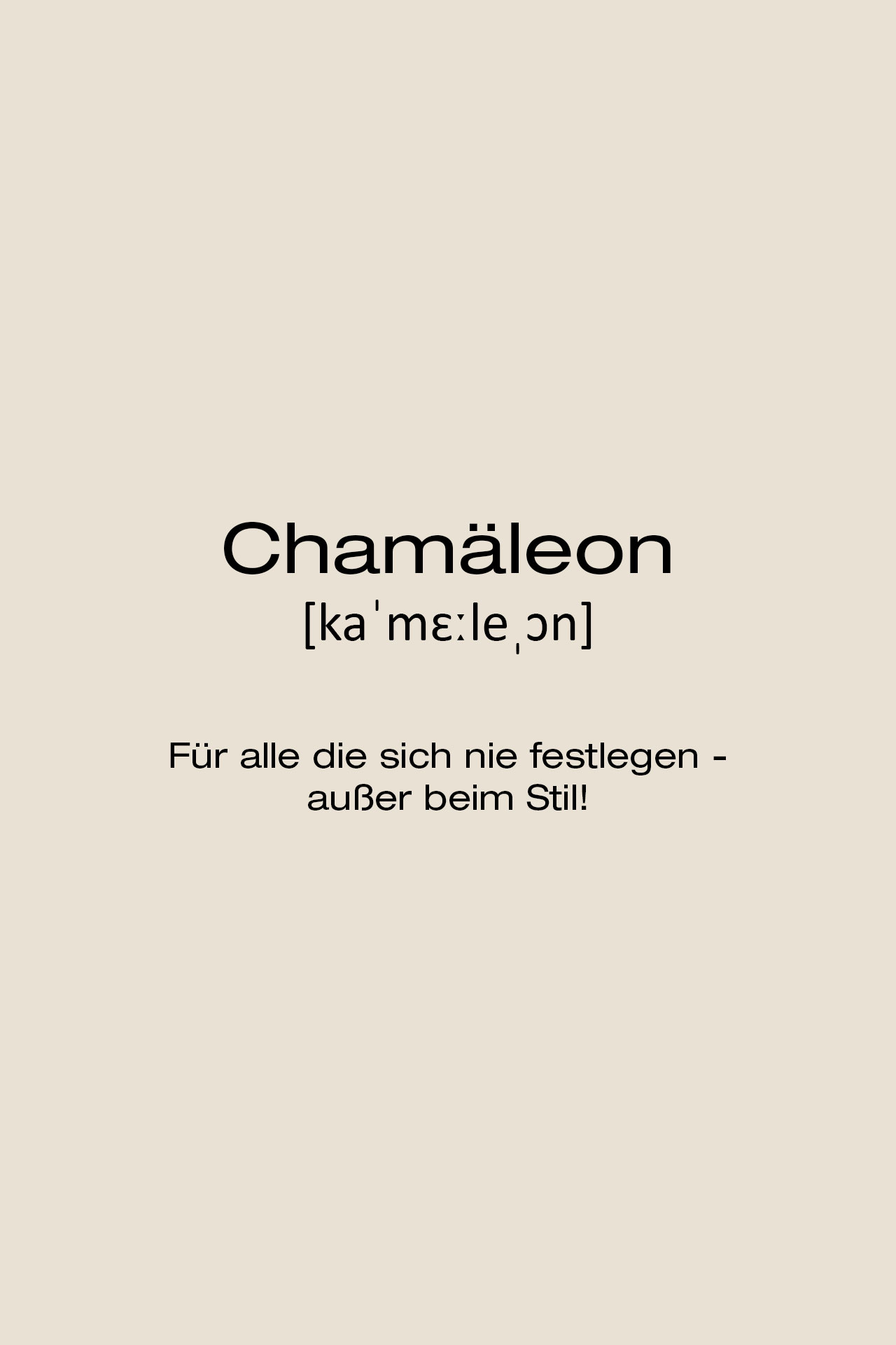 Banner zum Buchstaben C mit dem Wort ‚Chamäleon‘ und erklärendem Text zur Bedeutung – Teil der Buchstaben-Handtuch-Serie.